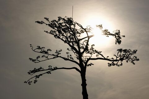 Пророчества Ванги на 2026 год – что будет с миром и Россией