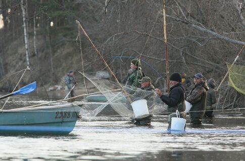 рыбаки, корюшка