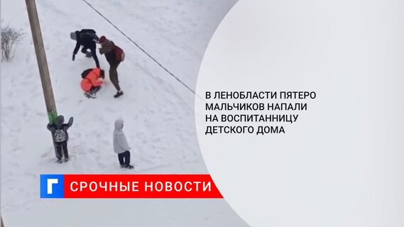 В Ленобласти пятеро мальчиков напали на воспитанницу детского дома