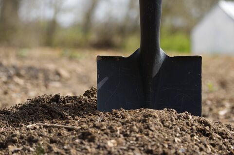 Превратил глину в чернозем "корейской" подкормкой: без вонючего навоза и дорогих составов — почва легче пуха