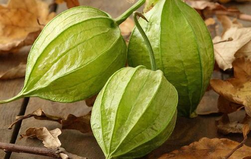 А это что, едят? Как выращиваю физалис на даче и что из него готовлю