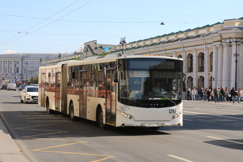 Автобус, Петербург