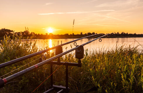 Майские насадки для рыбалки – работают там, где червь и опарыш бессильны: 3 природных деликатеса