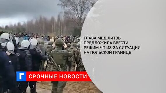 Глава МВД Литвы предложила ввести режим ЧП из-за ситуации на польской границе