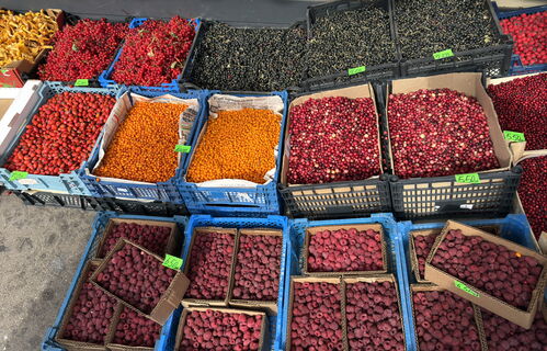 Грядки на миллиарды: в агропарк на Софийской вложат 23 млрд рублей