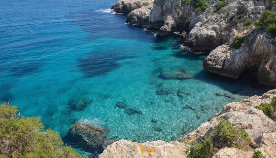 Как добраться до райского места в Геленджике: вода чище, чем на греческих островах – ищите скрытый съезд