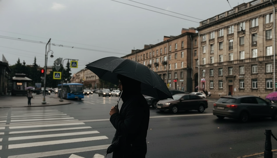 Подарок от осени: Петербург входит в ноябрь без дождей и с мягким теплом Подарок от осени: Петербург входит в ноябрь без дождей и с мягким теплом