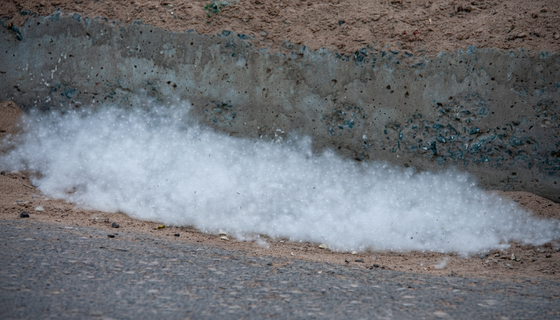 Есть ответ на летнюю напасть: петербургские учёные придумали, как избавиться от тополиного пуха