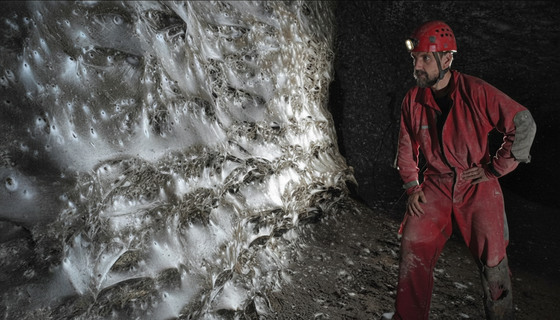 Рекордная ловушка, спрятанная на виду: обнаружена самая большая паутина на планете