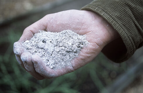 Городовой ру