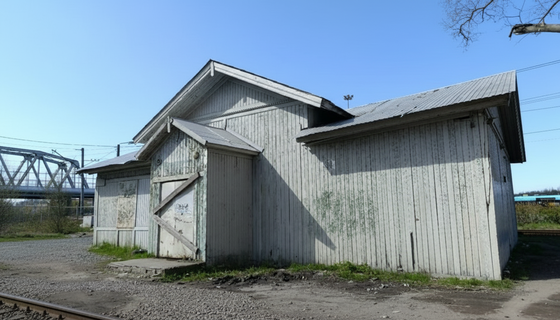 История на перроне: «Горская» под Сестрорецком стала региональным памятником