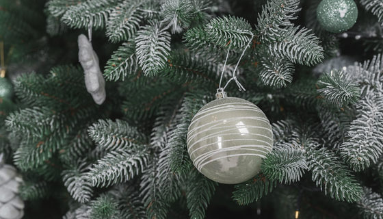 Новогодняя сказка за 9,6 млн: во что превратят Кингисепп