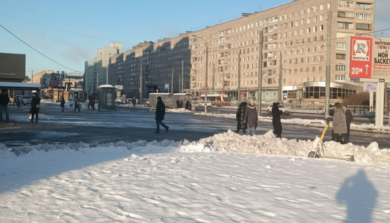 Петербург под белой пудрой: центр города припорошило на 3–5 сантиметров