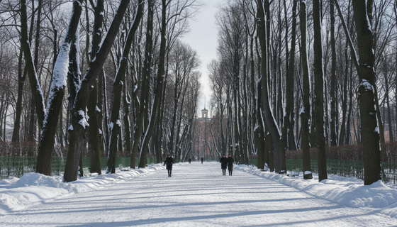 Летний сад Русского музея — в зимнем режиме: когда теперь можно туда попасть