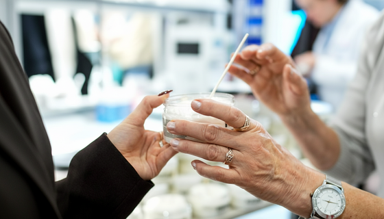 Омоложение из конюшни: учёные бросают против старения клетки из пуповины жеребят