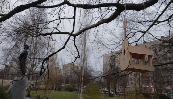 Песни на деревьях: в сквере Цоя запели скворечники