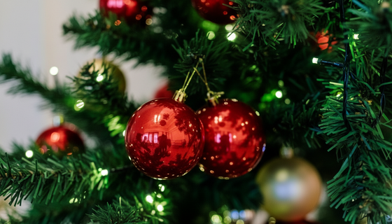 Пахнет штрафом, а не хвоей: за новогоднюю ёлку в подъезде придется заплатить