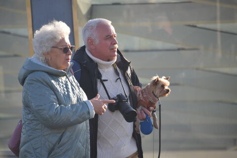 пенсионеры-туристы