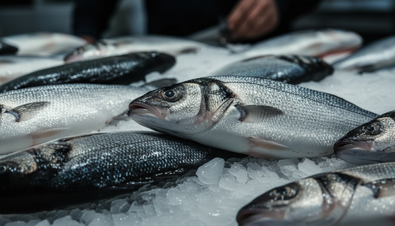Рыбка клюнула — более миллиона уплыло: любитель «рыбных» взяток подставил петербургскую фирму