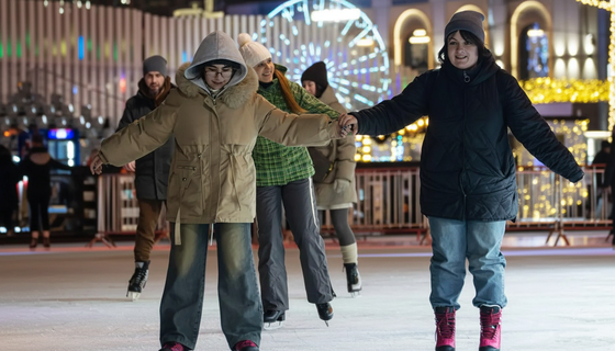 Ни один каток не ускользнул: ГАТИ проверила весь петербургский лёд