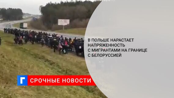 В Польше нарастает напряженность с мигрантами на границе с Белоруссией