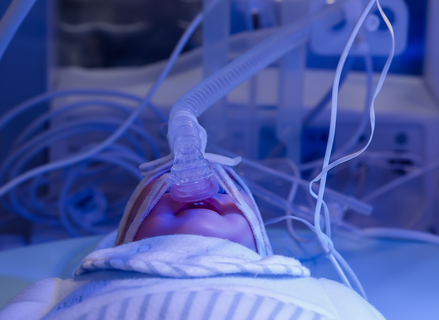 Загадочные умные люльки: как в Петербурге малыши учатся выживать благодаря технологиям будущего