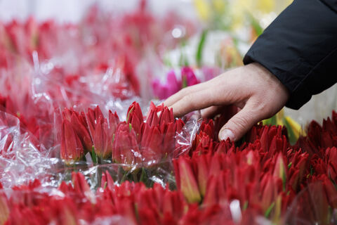 Штрафы вместо букетов: в центре Петербурга прикрыли подпольных флористов