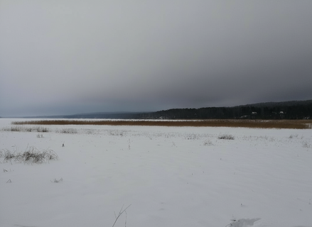 Адмиральское имя, предательский лёд: на Нахимовском озере в Ленобласти мужчина ушёл под воду