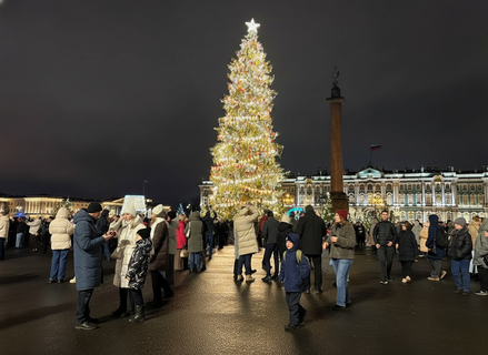 Новогоднее чудо задержалось: главную ёлку Петербурга оставили сиять до конца января
