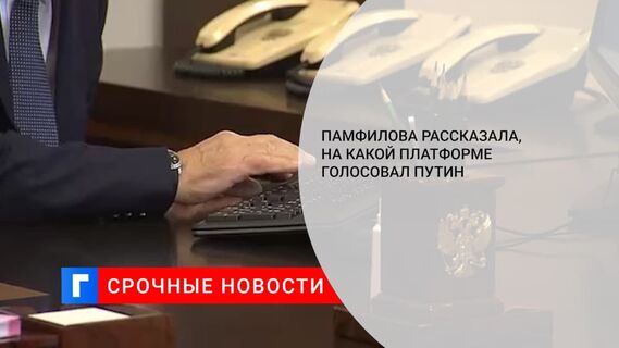 Памфилова заявила, что Путин проголосовал на выборах в Госдуму на портале mos.ru