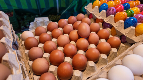 Лотки от яиц не выбрасываю никогда: В апреле волоку их на дачу вязанками - делаю шикарную клумбу