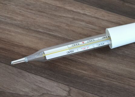 Город на Неве лихорадит: Роспотребнадзор фиксирует новый подъём заболеваемости гриппом