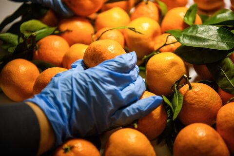 Каждый четвертый мандарин — декабрьский гость: в Петербург с начала года завезли 126 тонн