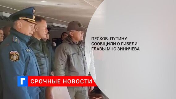 Песков: Путину доложено о гибели главы МЧС Зиничева на учениях