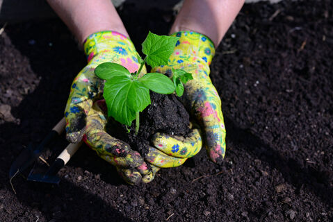 Лунный календарь садовода и огородника на 3 апреля 2026 года: что можно и нужно делать на даче в этот день 