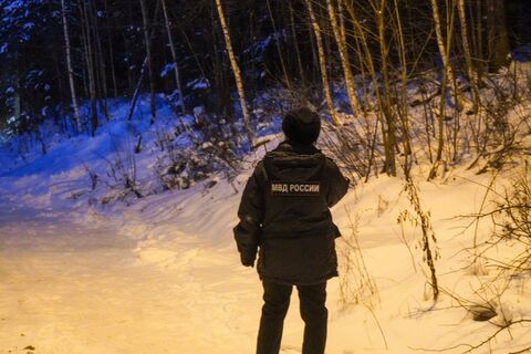 11-летняя девочка из Петербурга вернется к отцу: развязка драмы с пропавшими сестрами