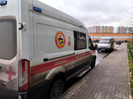 Замечание о выгуле собак обернулось избиением: двое мужчин в Петербурге напали на женщину