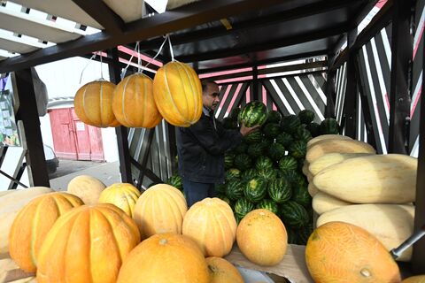 Не август, а ноябрь: Роскачество советует, когда безопаснее всего покупать арбузы и дыни