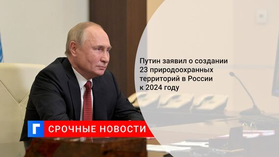 Путин заявил о создании 23 природоохранных территорий в России к 2024 году 