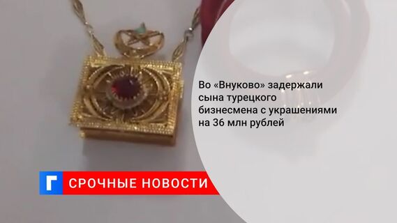 Во «Внуково» задержали сына турецкого бизнесмена с украшениями на 36 млн рублей