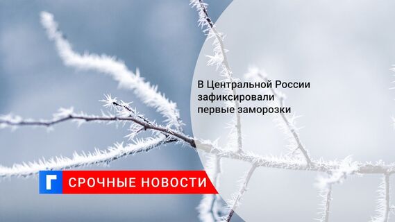 В Центральной России зафиксировали первые заморозки