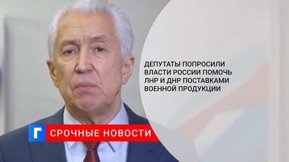 Депутаты попросили власти России помочь ЛНР и ДНР поставками военной продукции