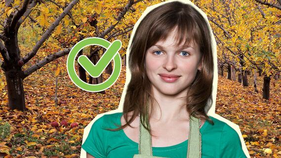 Кора деревьев за зиму не потрескается: помогут две несложные процедуры