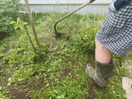 Как выбрать электрический садовый триммер: мощность, диаметр лески — на что еще обратить внимание