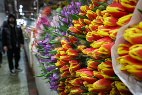 Семья, спонтанность и онлайн-шопинг: планы Петербурга на Женский день