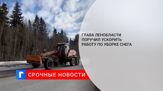 Губернатор Ленобласти поручил ускорить работу по уборке снега