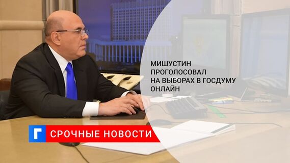 Премьер-министр Мишустин проголосовал на выборах депутатов Госдумы в онлайн-режиме