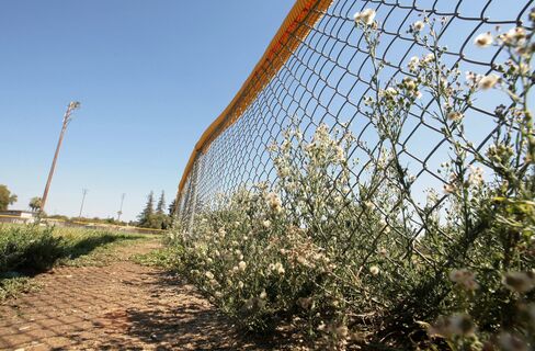 Городовой ру