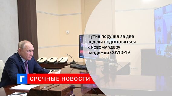 Путин поручил за две недели подготовиться к новому удару пандемии COVID-19
