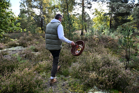 Почему по лесу нельзя ходить рядом: дистанция минимум 3 метра - правило выживания грибников